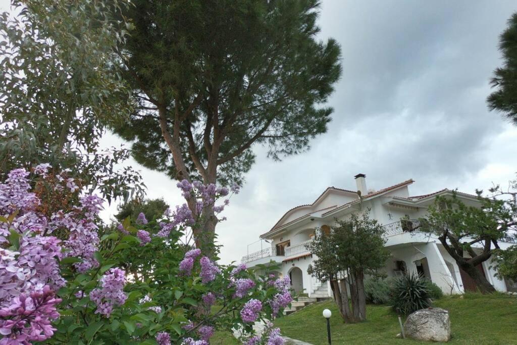 Triple H Vila Volos Exterior foto